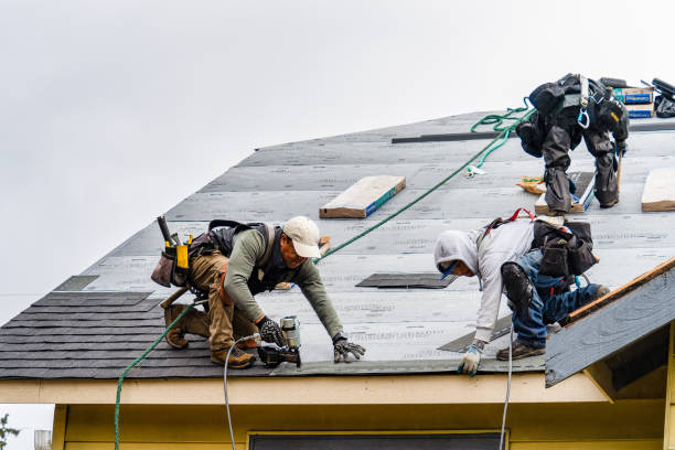 Professional Emergency Roof Repair technician working in Paint Bank, VA